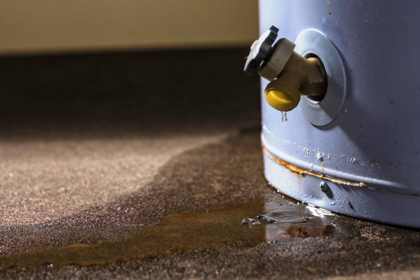 Best Water damage restoration near me  in Round Lake Beach, IL