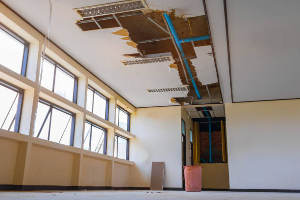 Best Water damage contractors near me  in Round Lake Beach, IL