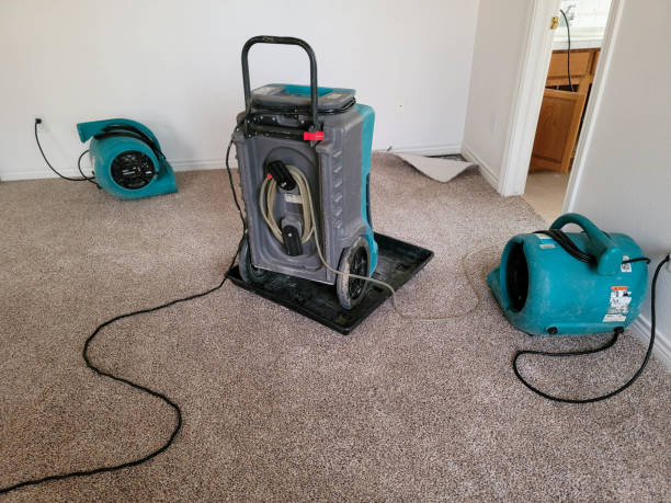Best Water damage restoration mold remediation  in Round Lake Beach, IL