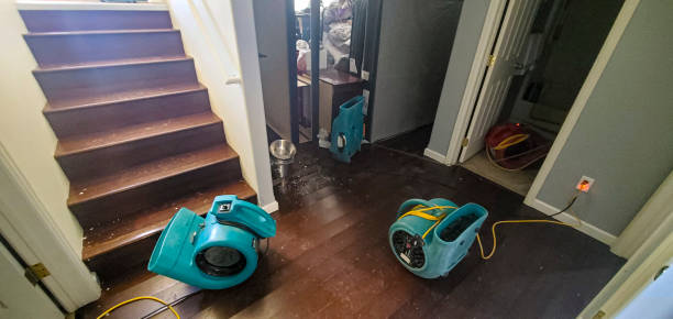 Best Professional water damage repair  in Round Lake Beach, IL