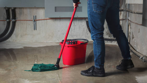 Best Emergency water extraction  in Round Lake Beach, IL