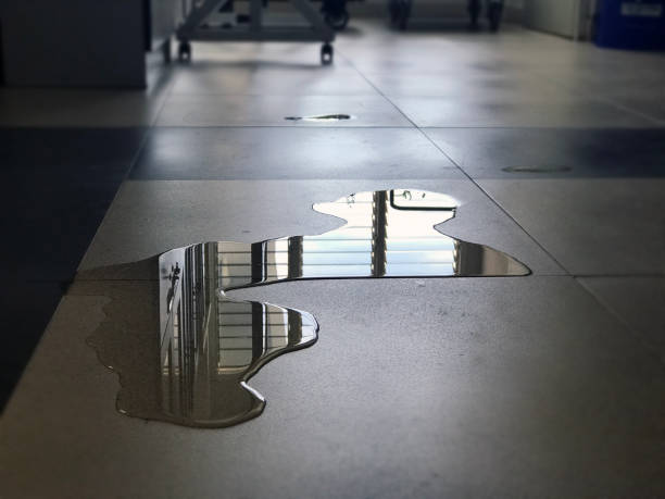Best Water damage repair service  in Round Lake Beach, IL