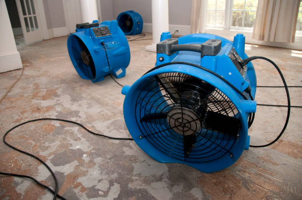 Best Ceiling water damage repair  in Round Lake Beach, IL
