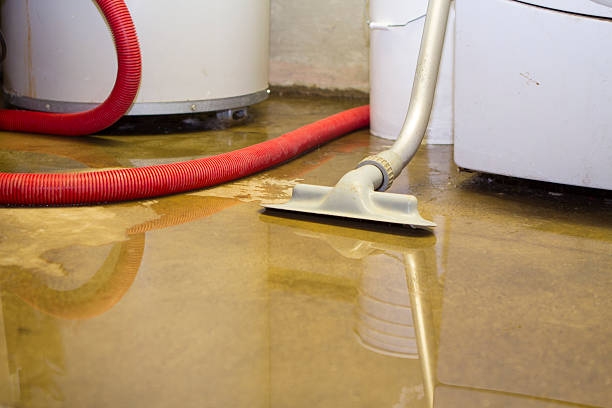 Best Flooded house restoration  in Round Lake Beach, IL