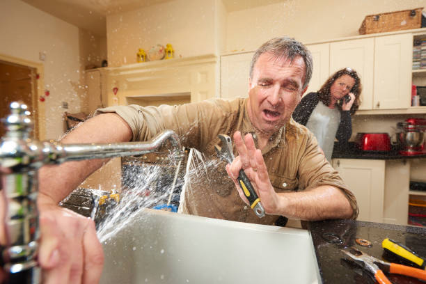 Best Carpet water damage restoration  in Round Lake Beach, IL